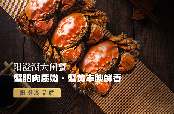土工膜